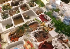 易翻译文本翻译评测：2025年最懂中文语境的翻译工具与翻译软件对比